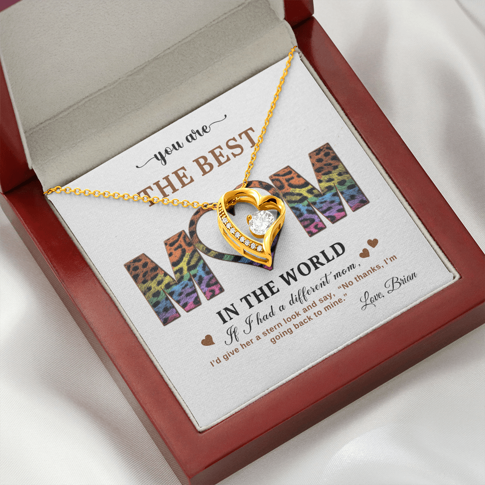 You Are The Best Mom - In The World - Forever Love Necklace Gift Set