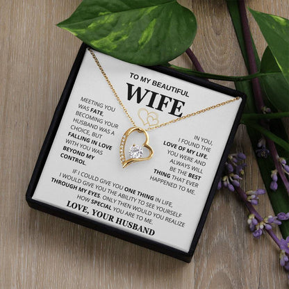 Husband to Wife Meeting You Was Fate Necklace