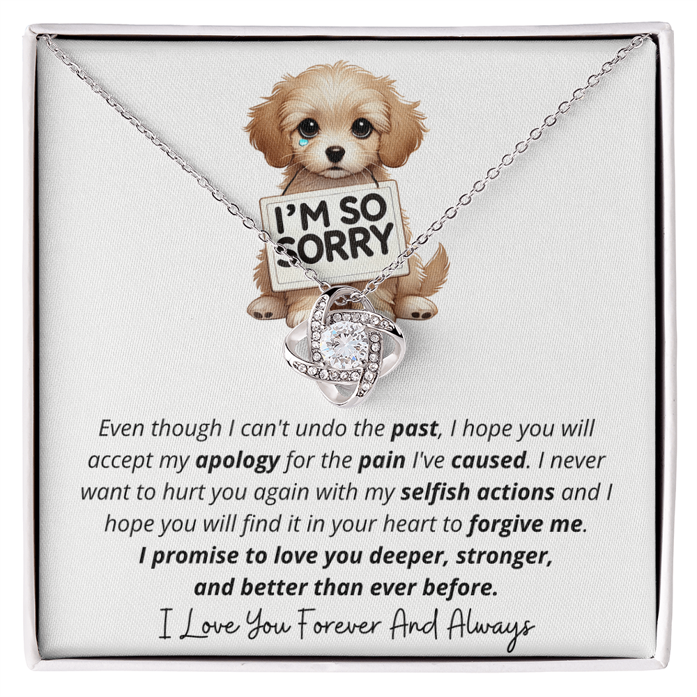I'm So Sorry - Love Knot Necklace Gift Set