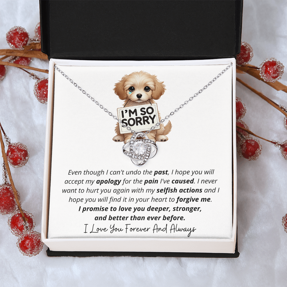 I'm So Sorry - Love Knot Necklace Gift Set