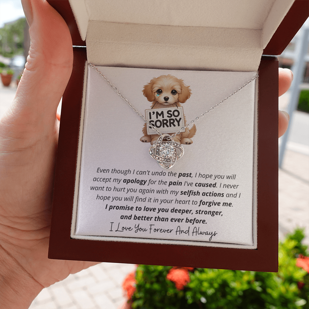 I'm So Sorry - Love Knot Necklace Gift Set