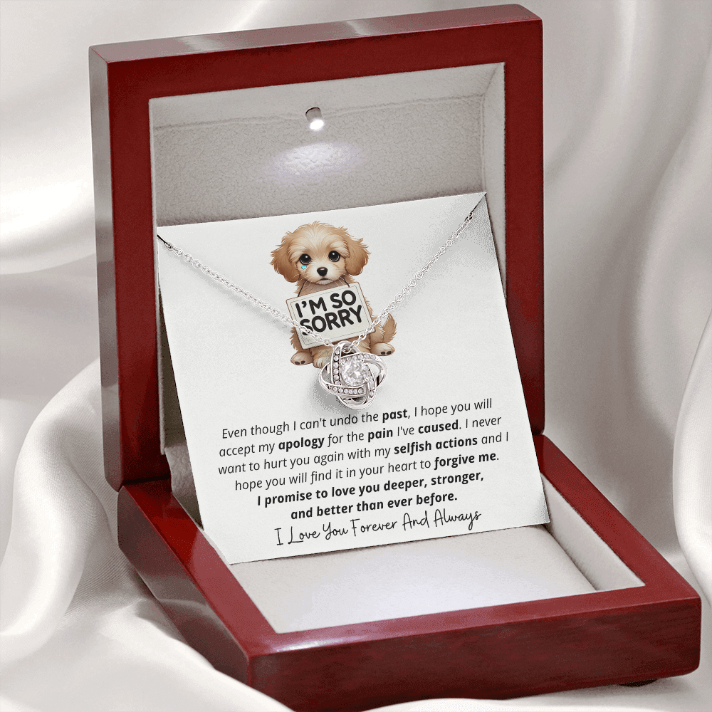 I'm So Sorry - Love Knot Necklace Gift Set