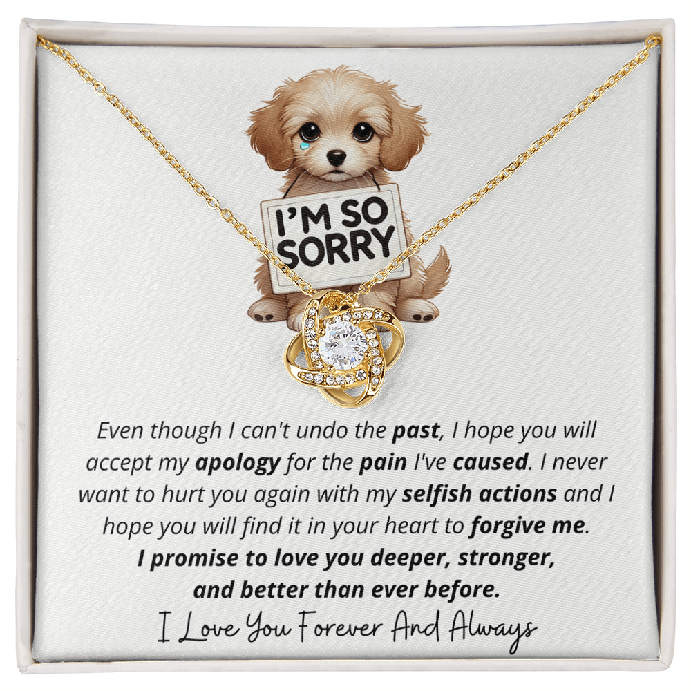I'm So Sorry - Love Knot Necklace Gift Set
