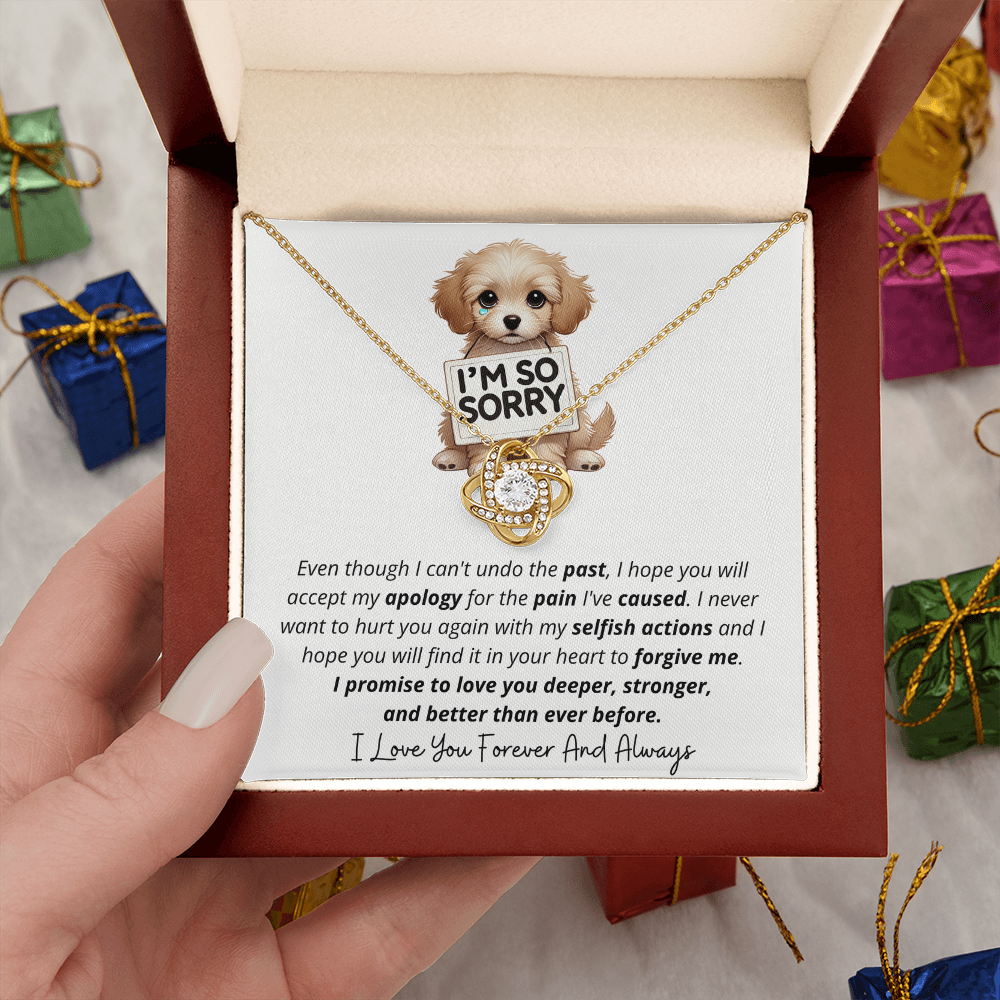 I'm So Sorry - Love Knot Necklace Gift Set