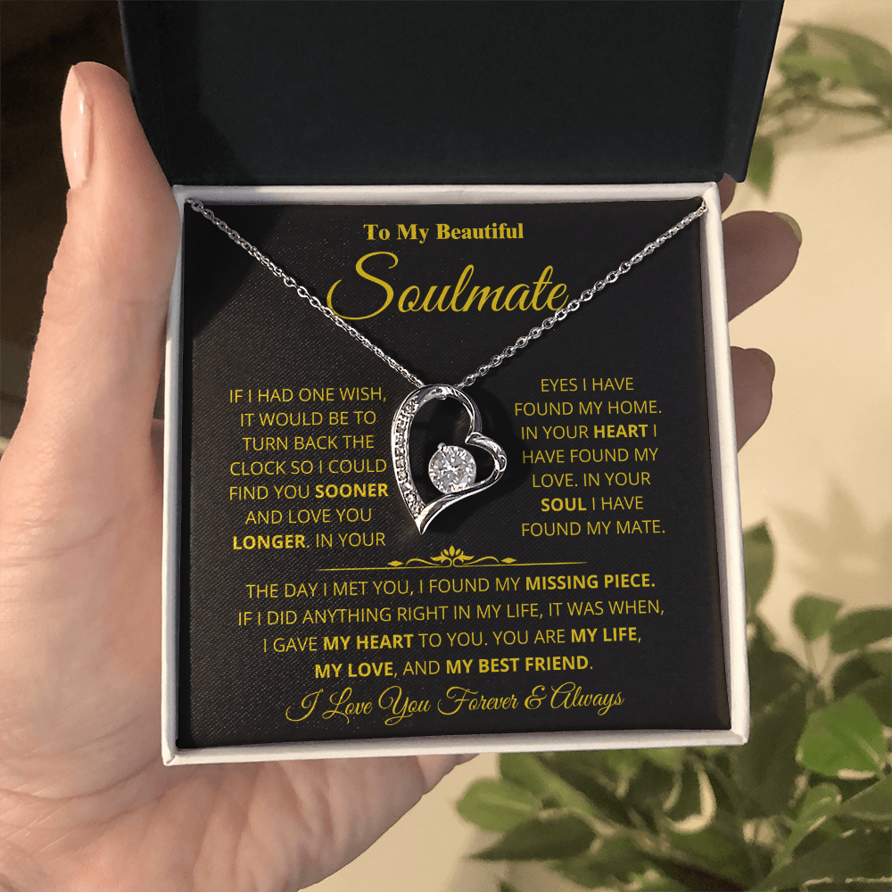 Soulmate - Missing Piece - Forever Love Necklace