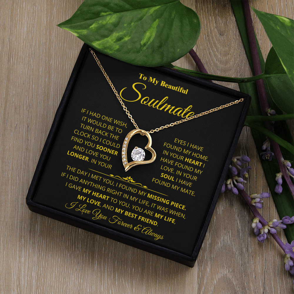 Soulmate - Missing Piece - Forever Love Necklace