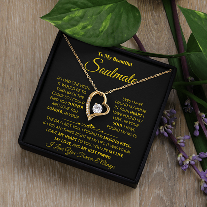 Soulmate - Missing Piece - Forever Love Necklace