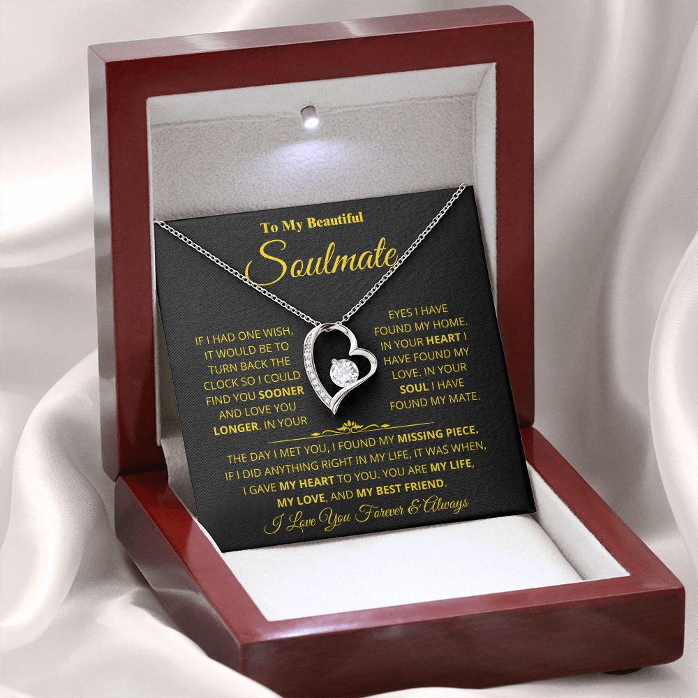 Soulmate - Missing Piece - Forever Love Necklace