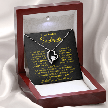 Soulmate - Missing Piece - Forever Love Necklace