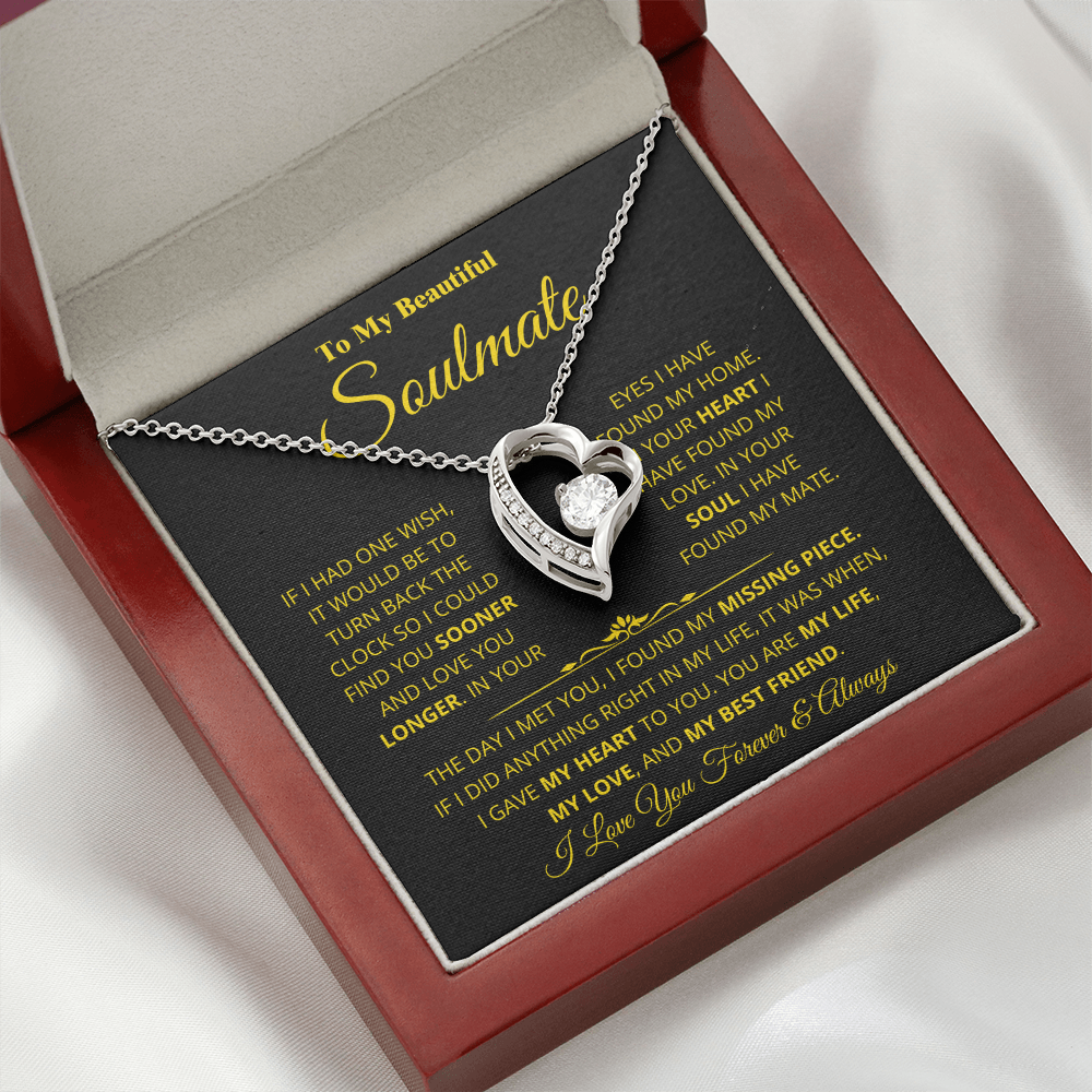 Soulmate - Missing Piece - Forever Love Necklace