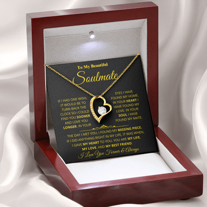 Soulmate - Missing Piece - Forever Love Necklace