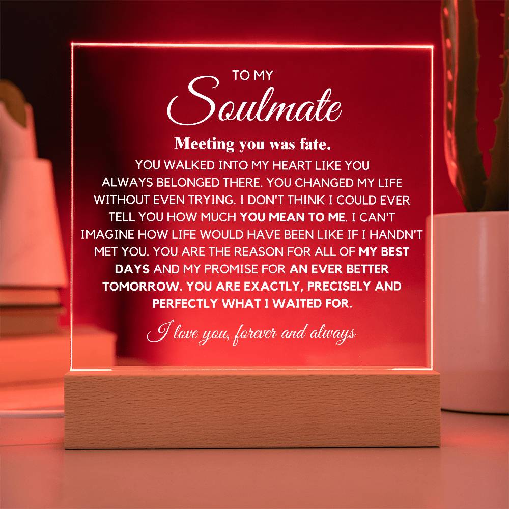 To my Soulmate You are Exactly, Precisely what I waited for Acrylic Plaque
