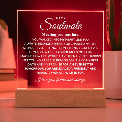 To my Soulmate You are Exactly, Precisely what I waited for Acrylic Plaque