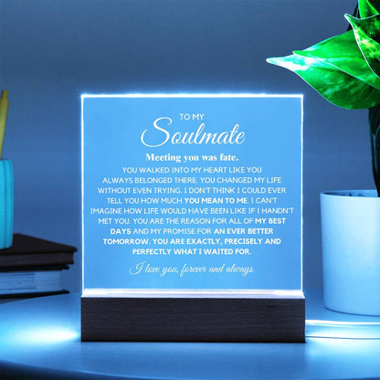 To my Soulmate You are Exactly, Precisely what I waited for Acrylic Plaque