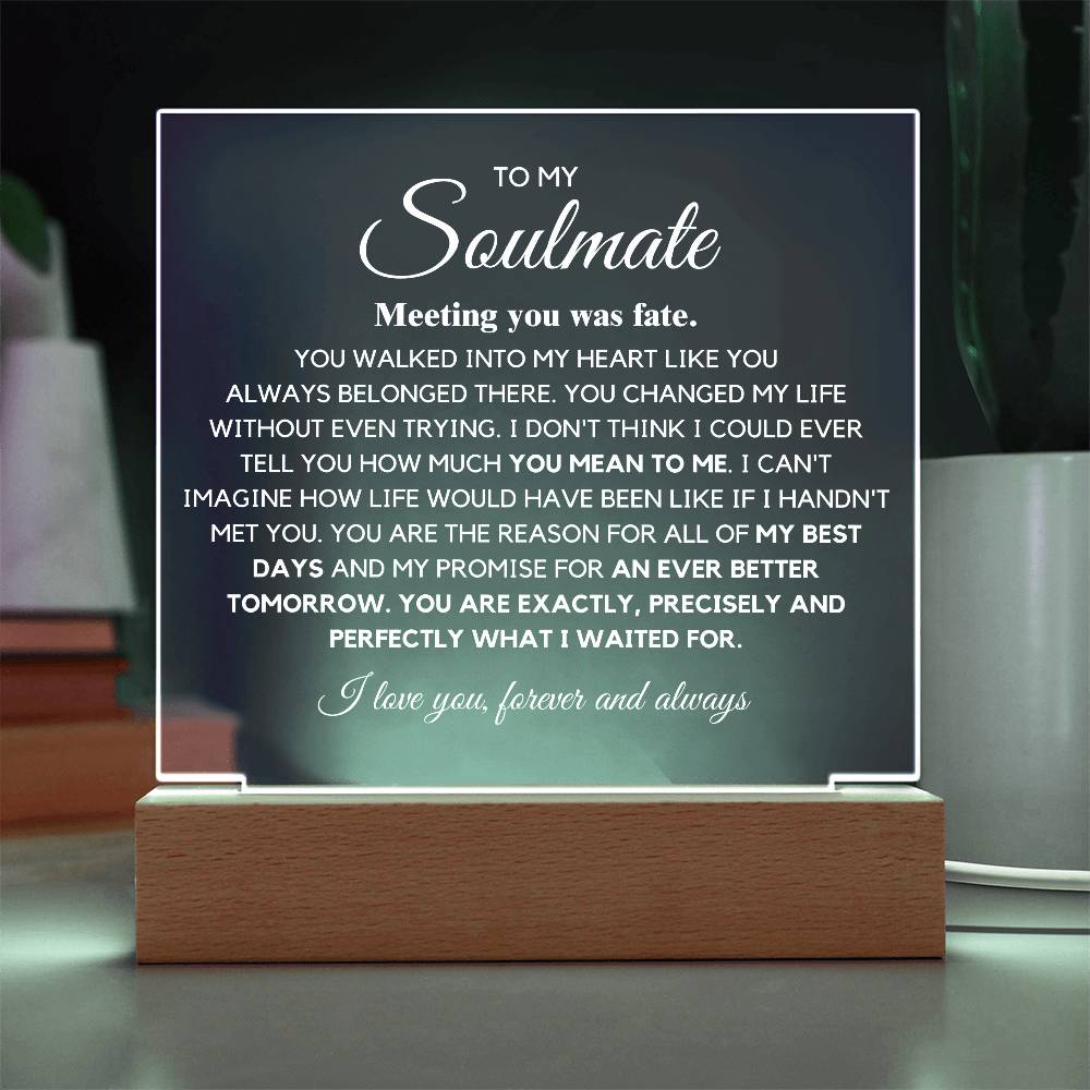 To my Soulmate You are Exactly, Precisely what I waited for Acrylic Plaque