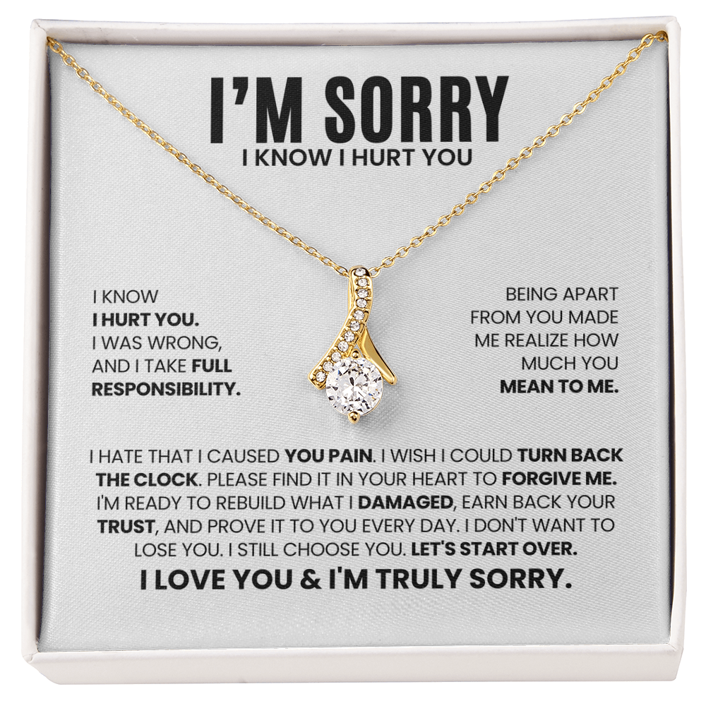I'm Sorry I Hurt You Necklace – Let's Start Over – Heartfelt Apology Gift Set