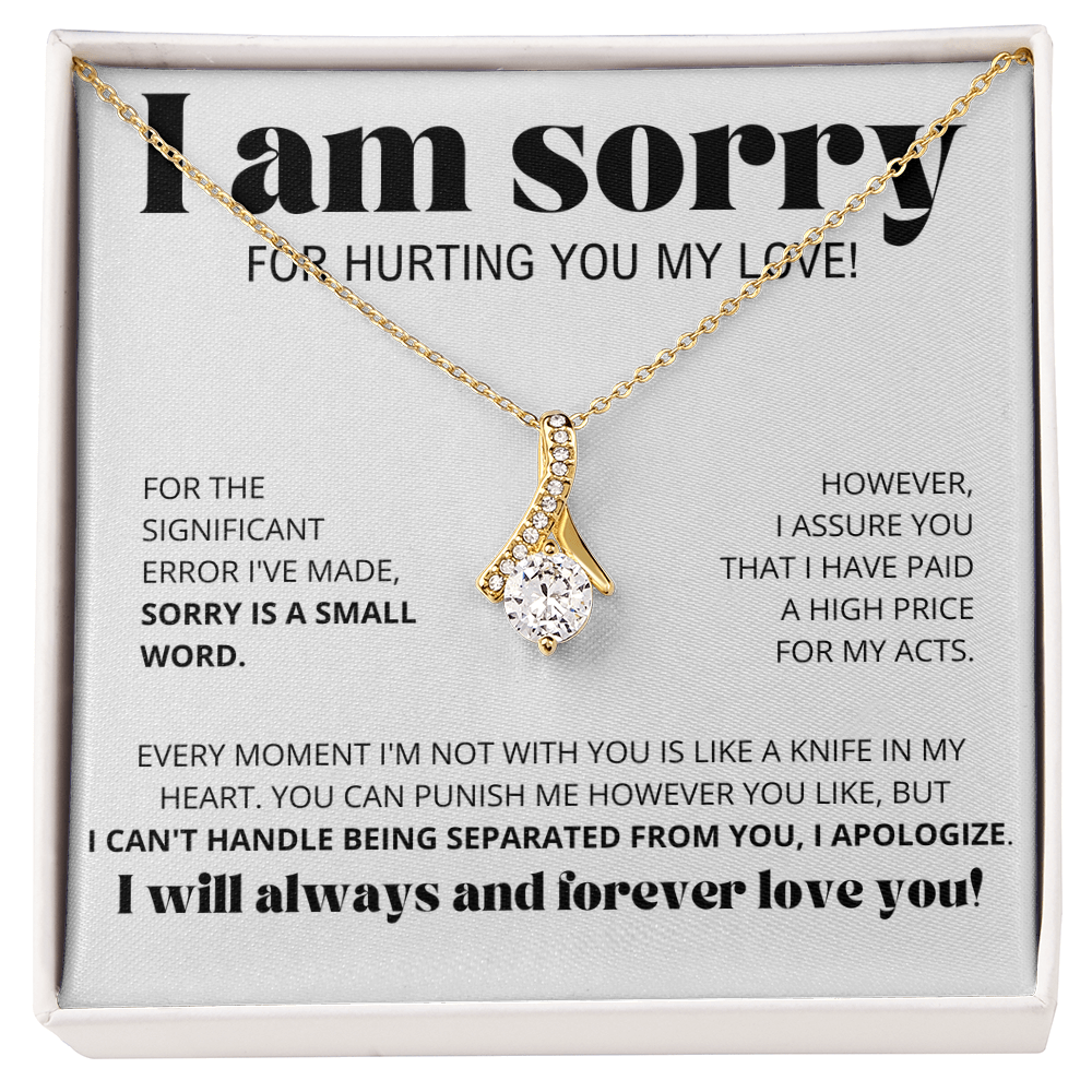 I Am Sorry for Hurting you my love - Alluring Beauty Necklace Gift Set
