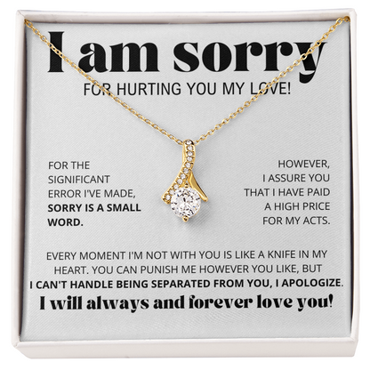 I Am Sorry for Hurting you my love - Alluring Beauty Necklace Gift Set
