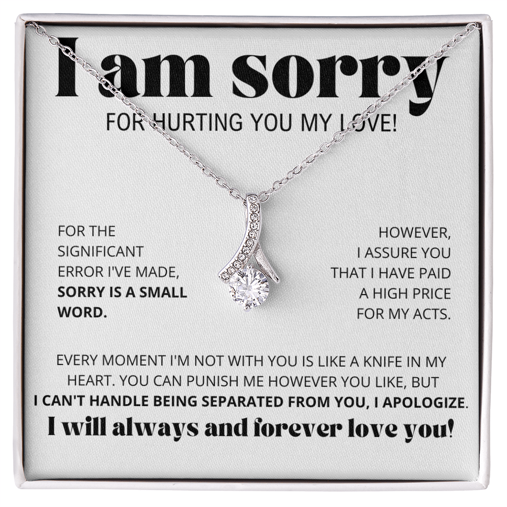 I Am Sorry for Hurting you my love - Alluring Beauty Necklace Gift Set