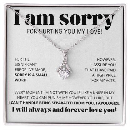 I Am Sorry for Hurting you my love - Alluring Beauty Necklace Gift Set