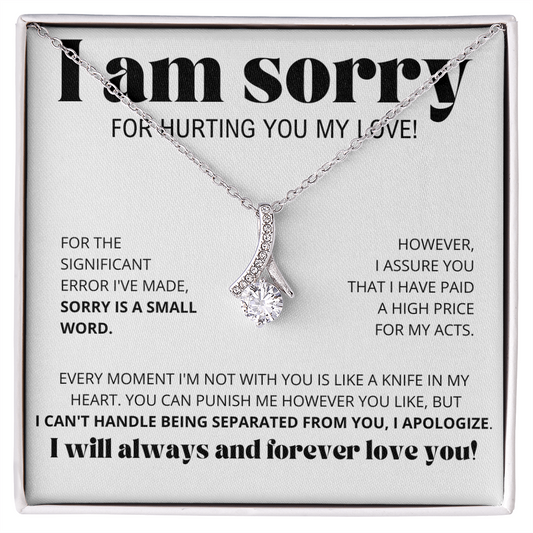 I Am Sorry for Hurting you my love - Alluring Beauty Necklace Gift Set