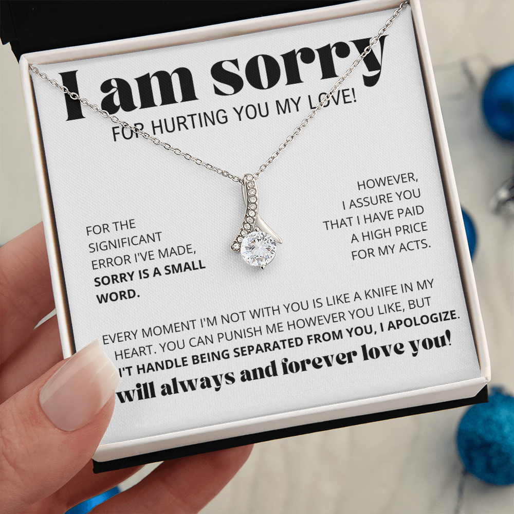 I Am Sorry for Hurting you my love - Alluring Beauty Necklace Gift Set