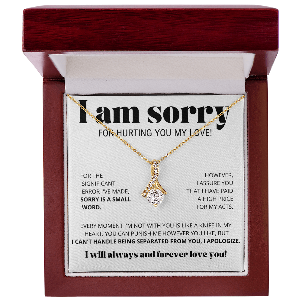 I Am Sorry for Hurting you my love - Alluring Beauty Necklace Gift Set
