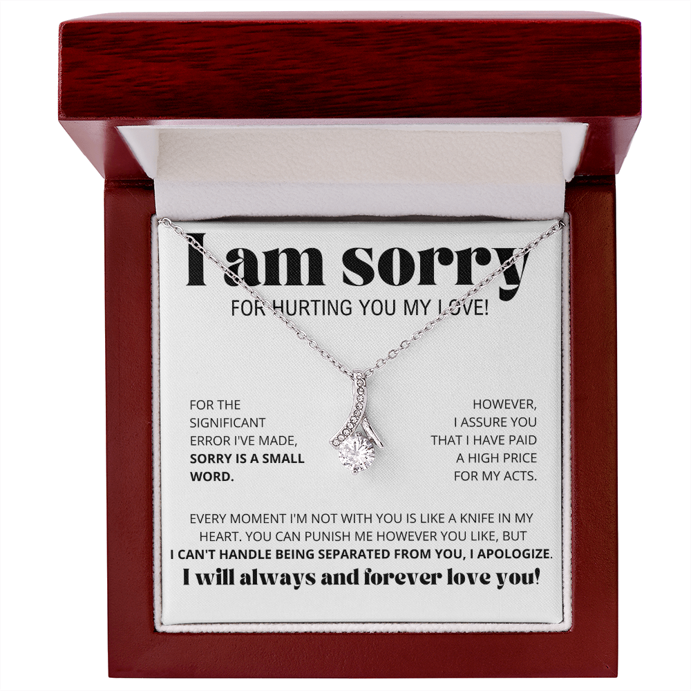 I Am Sorry for Hurting you my love - Alluring Beauty Necklace Gift Set