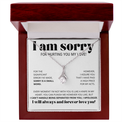I Am Sorry for Hurting you my love - Alluring Beauty Necklace Gift Set