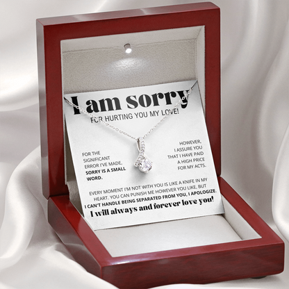 I Am Sorry for Hurting you my love - Alluring Beauty Necklace Gift Set