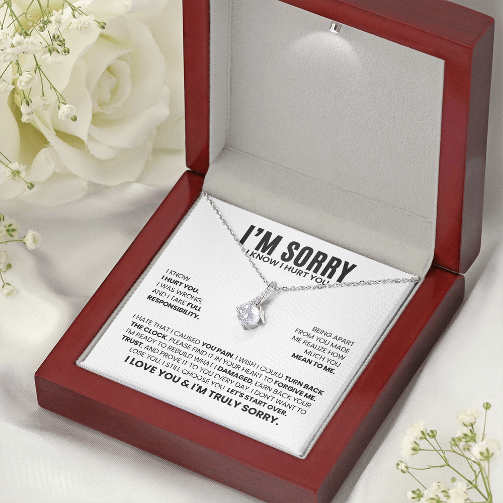 I'm Sorry I Hurt You Necklace – Let's Start Over – Heartfelt Apology Gift Set