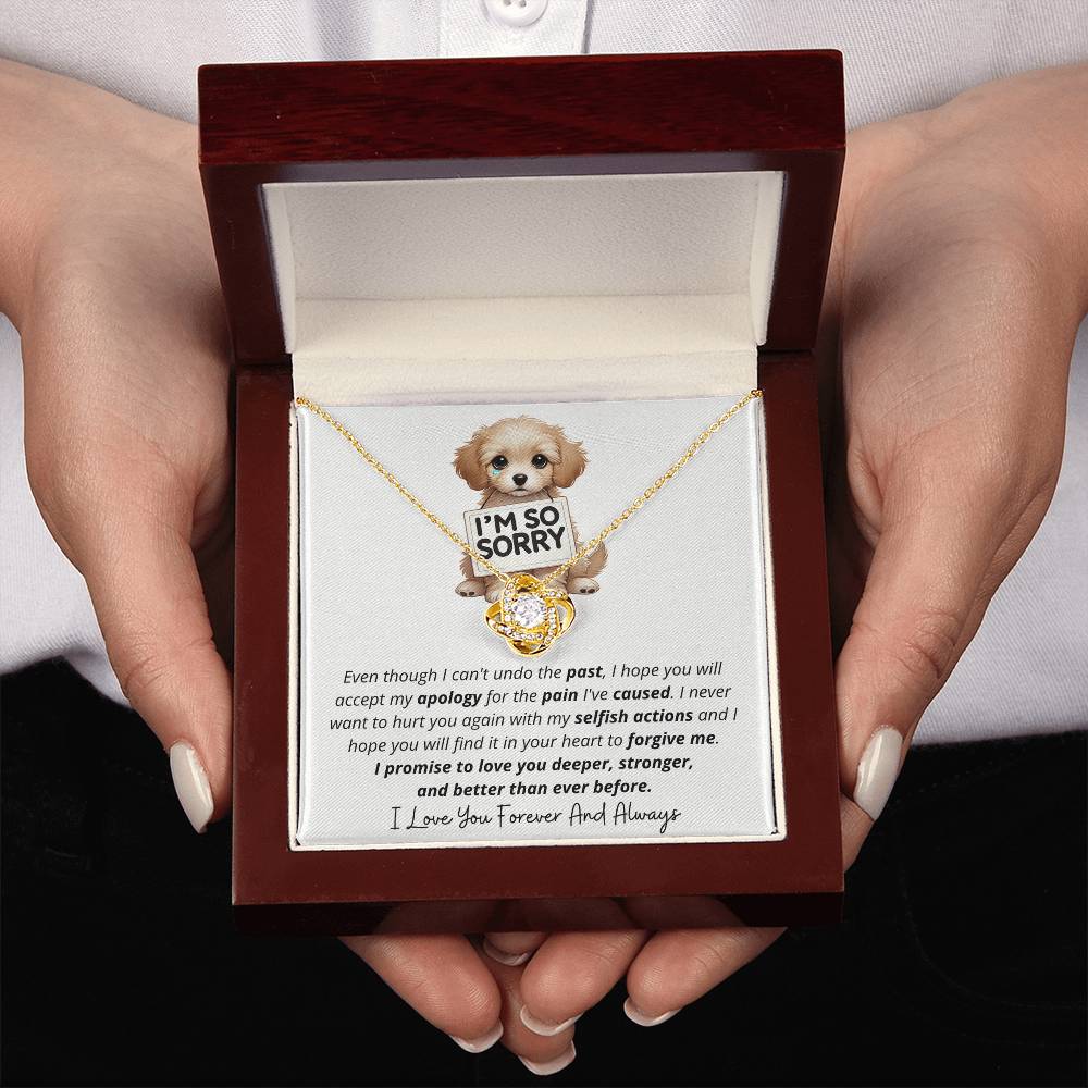 I'm So Sorry - Love Knot Necklace Gift Set