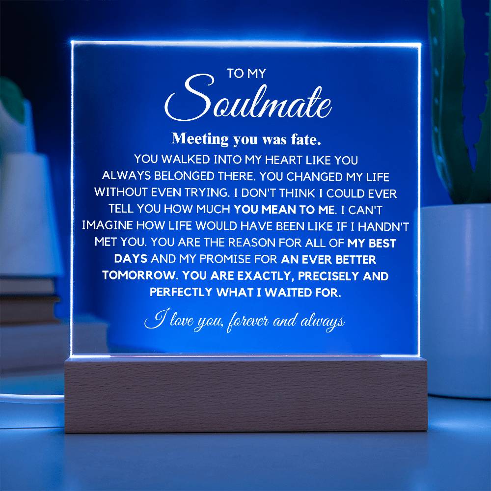 To my Soulmate "You are Exactly, Precisely what I waited for" Acrylic Plaque