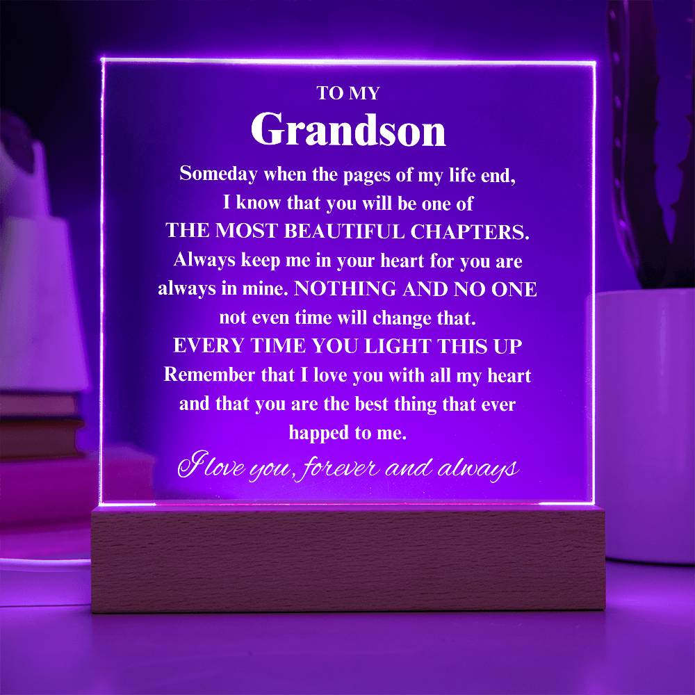 To My Grandson - Someday When The Pages of My Life End..