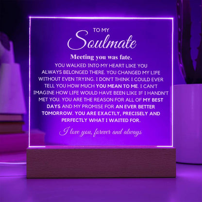 To my Soulmate "You are Exactly, Precisely what I waited for" Acrylic Plaque