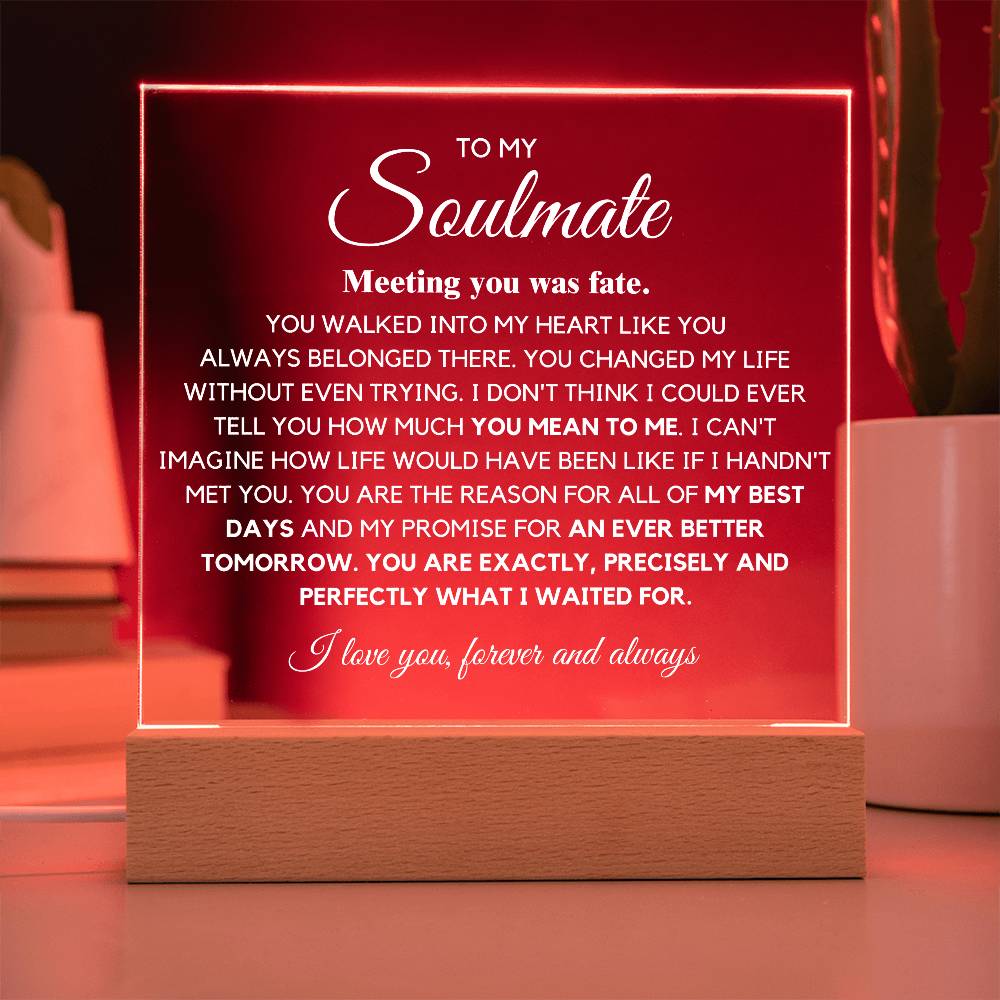 To my Soulmate "You are Exactly, Precisely what I waited for" Acrylic Plaque