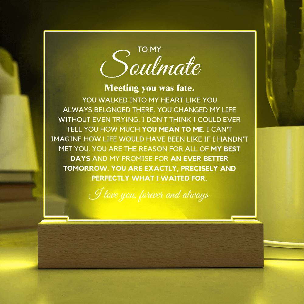 To my Soulmate "You are Exactly, Precisely what I waited for" Acrylic Plaque