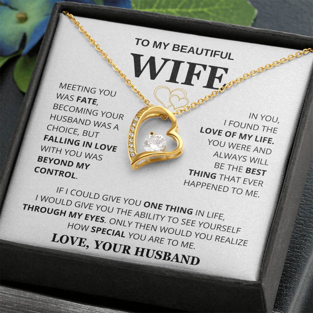 Husband to Wife "Meeting You Was Fate" Necklace