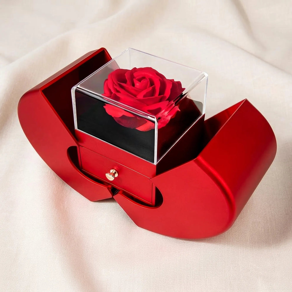 "Let's Start Over" Forever Love Necklace & Red Rose Box - Romantic Apology Gift