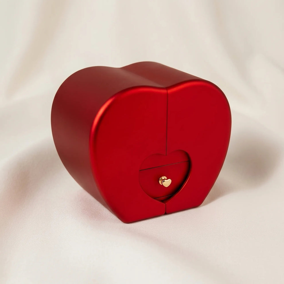 "Let's Start Over" Forever Love Necklace & Red Rose Box - Romantic Apology Gift